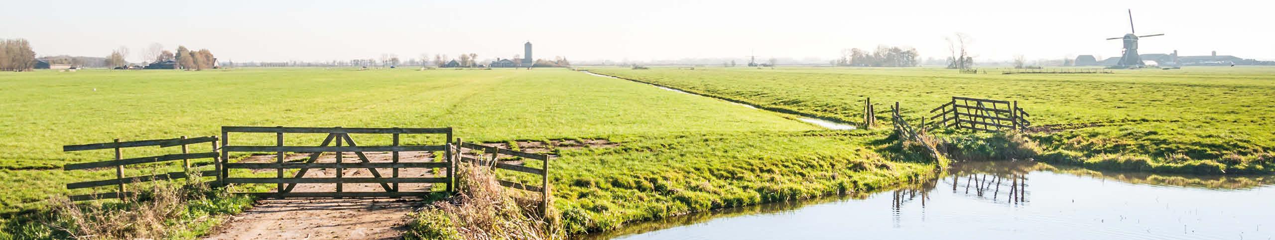 Banner Flevoland - Nederland